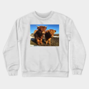 Scottish Highland Cattle Calves 1976 Crewneck Sweatshirt